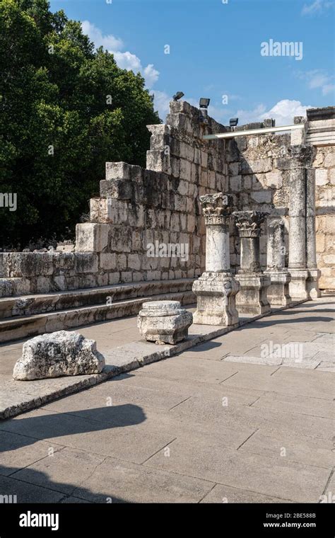 Capernaum 字幕 .